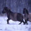index_turystyka.php?dzial=6&kat=24&art=10