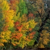 index_turystyka.php?dzial=6&kat=17&art=51