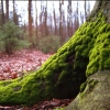 index_turystyka.php?dzial=6&kat=17&art=53